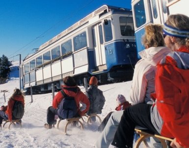 Mount Rigi - Sledding