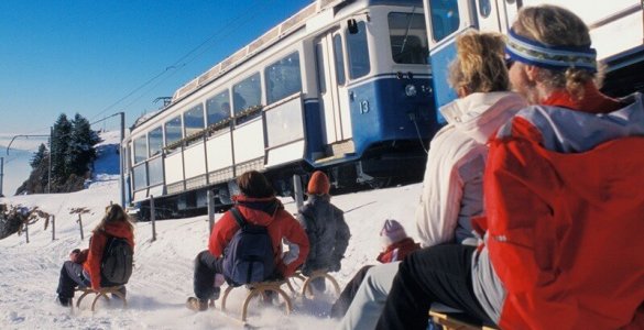 Mount Rigi - Sledding