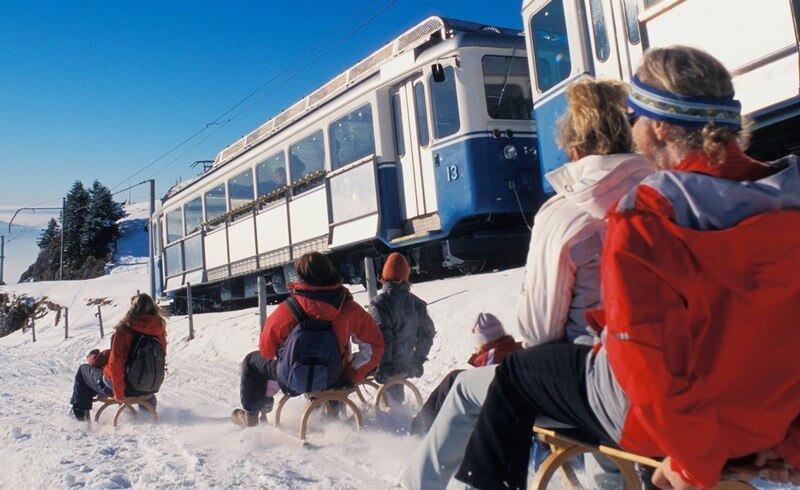 Mount Rigi - Sledding