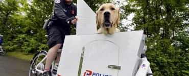 Police Dog Whisk - Lausanne Police Department