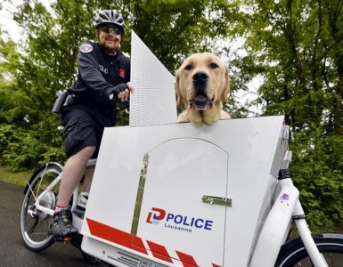 Police Dog Whisk - Lausanne Police Department