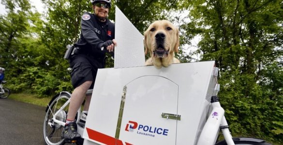 Police Dog Whisk - Lausanne Police Department