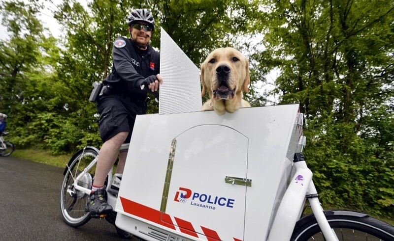 Police Dog Whisk - Lausanne Police Department