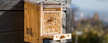 Wildbiene und Partner - Urban Bee Farming