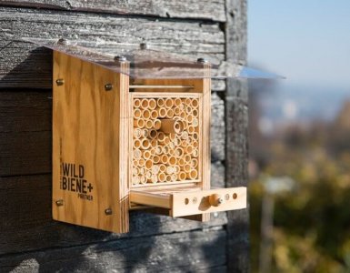 Wildbiene und Partner - Urban Bee Farming