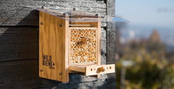 Wildbiene und Partner - Urban Bee Farming