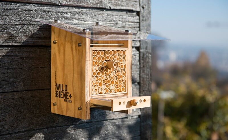 Wildbiene und Partner - Urban Bee Farming