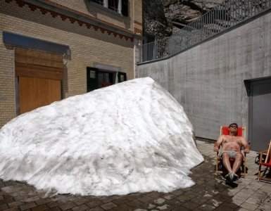 Sunbathing Swiss - via imgur