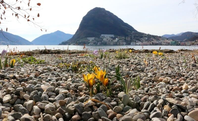 Lugano in Spring - San Salvatore