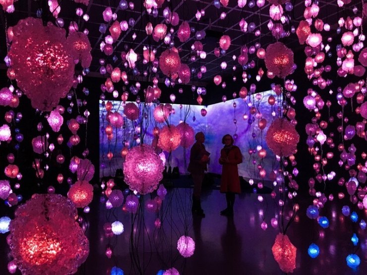Inside the Pipilotti Rist Exhibit at the Kunsthaus Zürich