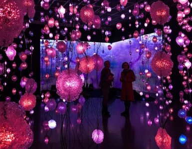 Pipilotti Rist Exhibit Kunsthaus Zürich