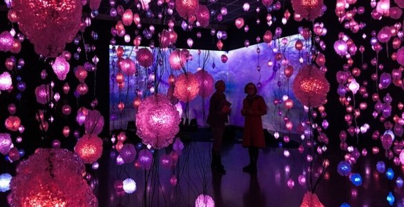 Pipilotti Rist Exhibit Kunsthaus Zürich