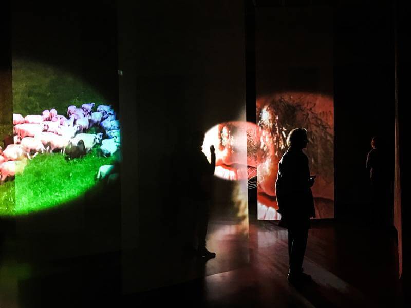 Pipilotti Rist Exhibit Kunsthaus Zürich