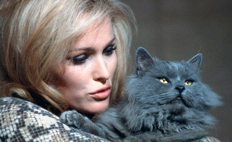 Ursula Andress Swiss Bond Girl