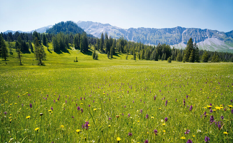 UNESCO Entlebuch Biosphere