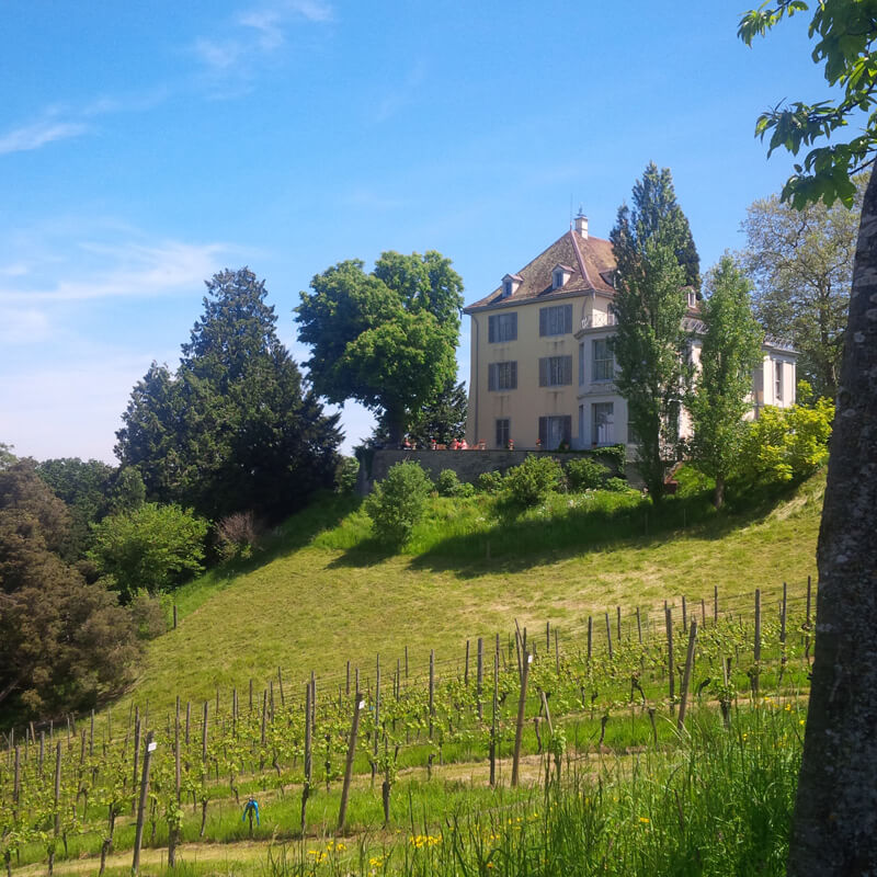 48 Hours in Thurgau