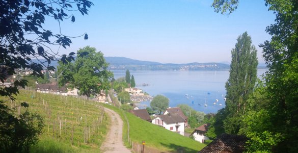 48 Hours in Thurgau