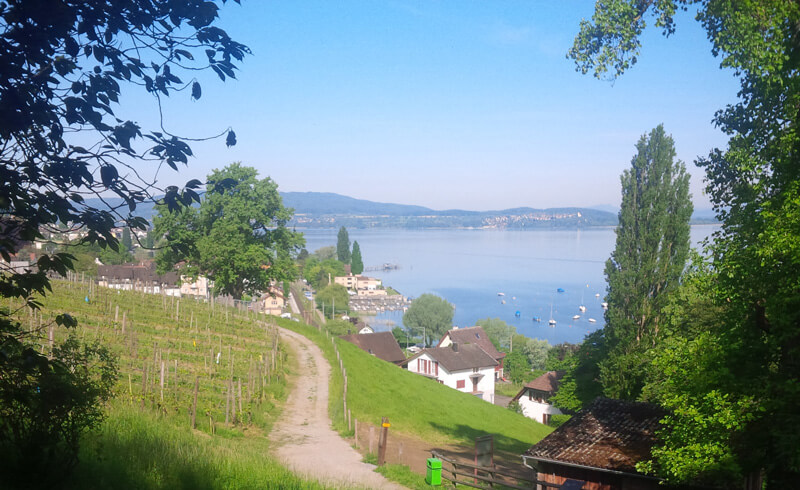 48 Hours in Thurgau