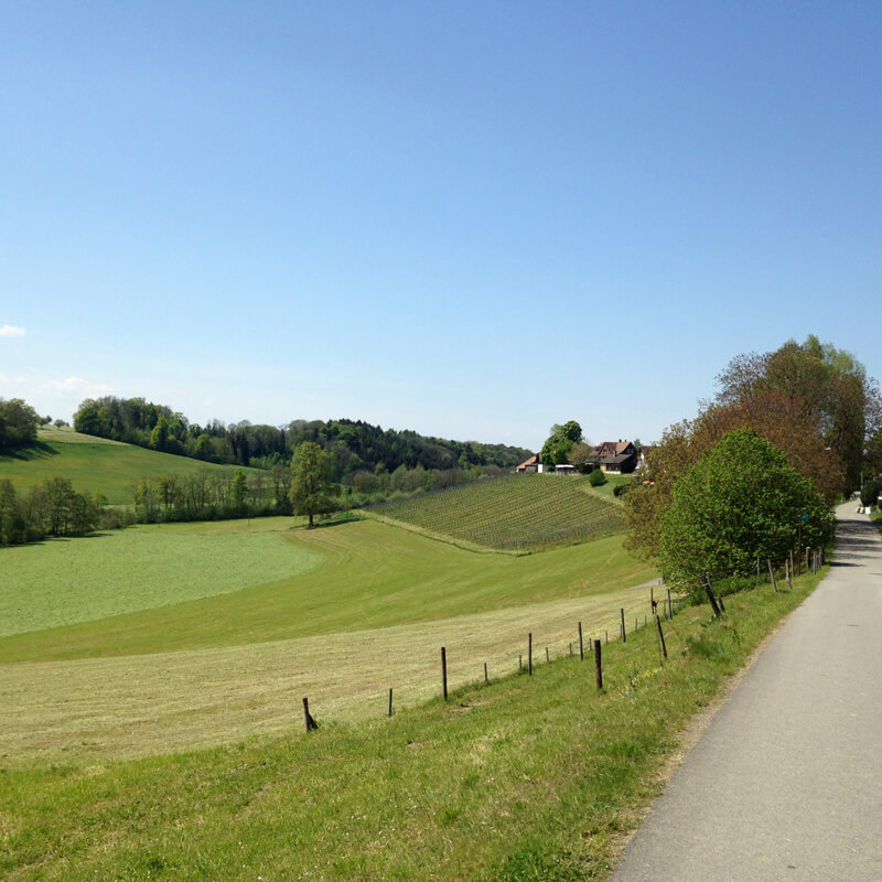 Bicycling in Thurgau Bodensee
