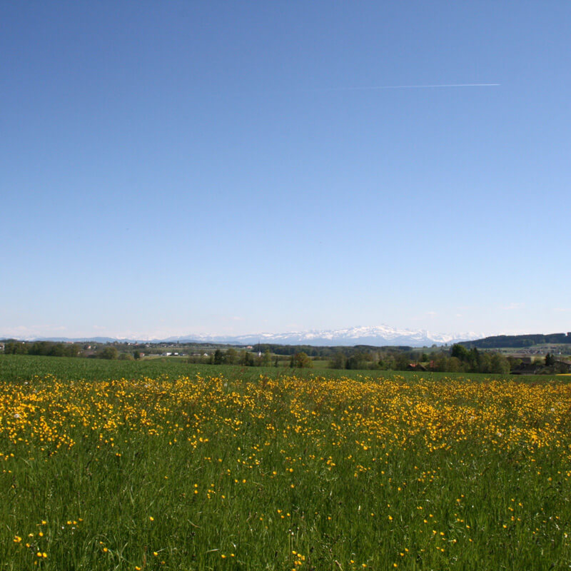 Bicycling in Thurgau Bodensee