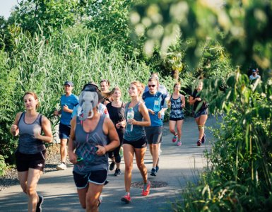 On Running at Zoo Zurich