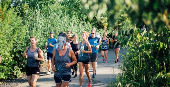 On Running at Zoo Zurich