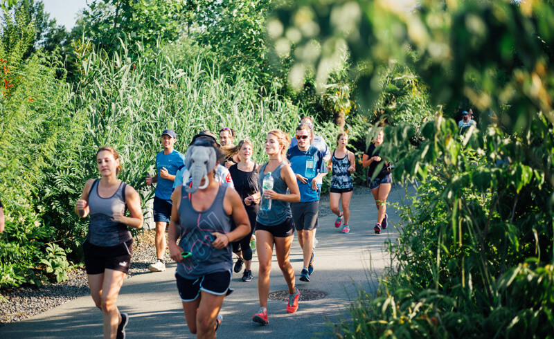 On Running at Zoo Zurich