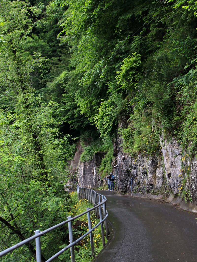 Festung Fürigen - Swiss Fort