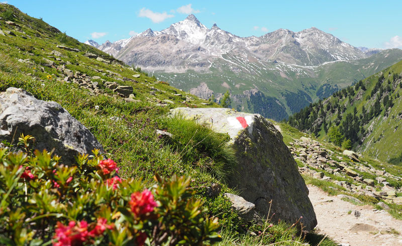 Panoramic Hike from Muottas Muragl to Pontresina