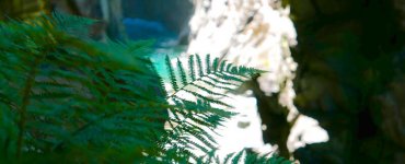 Rofflaschlucht Canyon, Switzerland