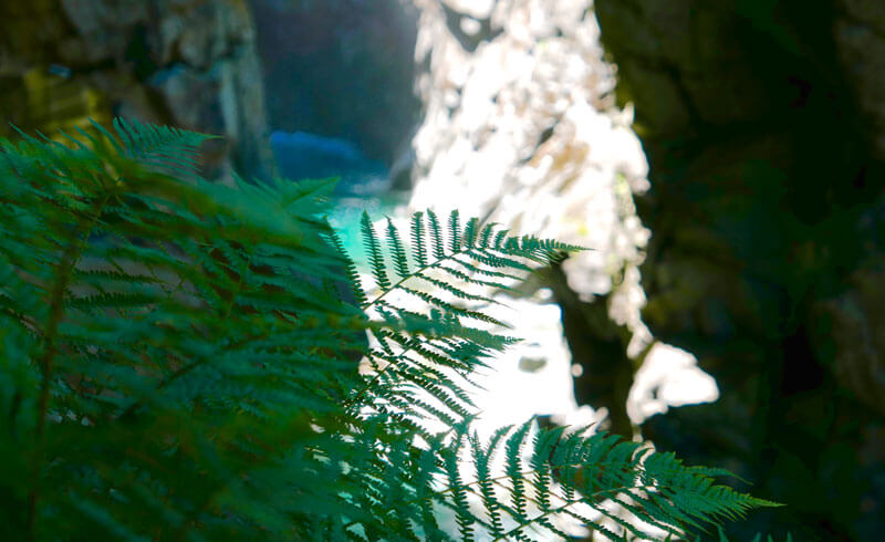 Rofflaschlucht Canyon, Switzerland