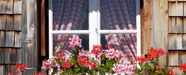 Swiss National Day Quiz - Geranium Amden