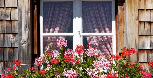 Swiss National Day Quiz - Geranium Amden