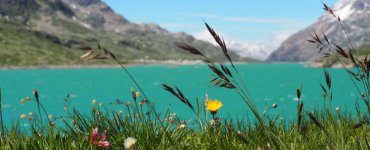 Bernina Pass Lake
