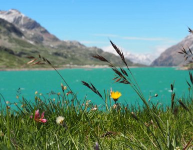 Bernina Pass Lake