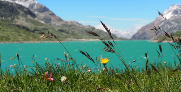 Bernina Pass Lake