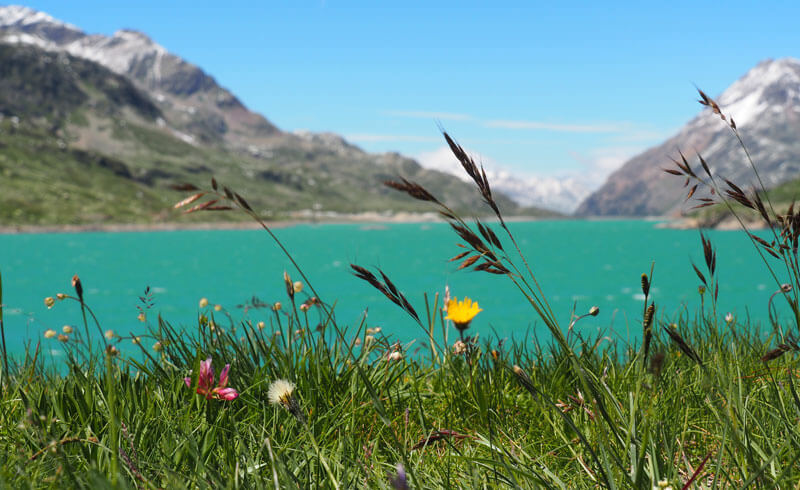 Bernina Pass Lake