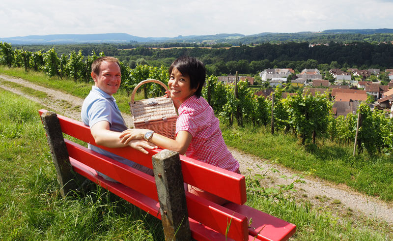 Picnic in Schaffhausen