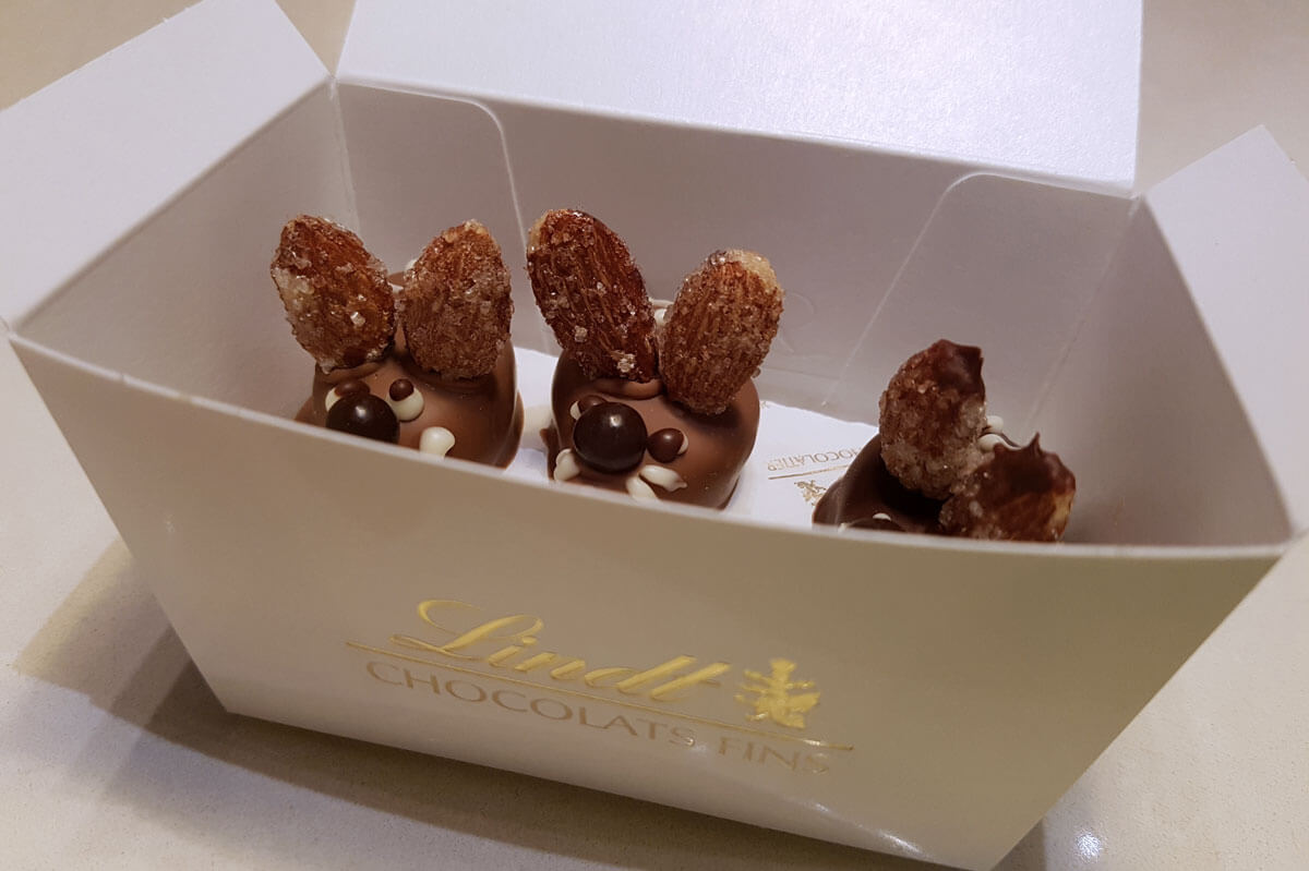 Chocolate Workshop at Lindt in Zürich