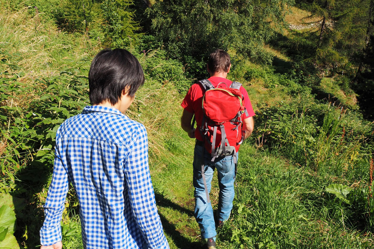 Saas-Fee - Mushroom Hunting at Waldhotel Fletschhorn