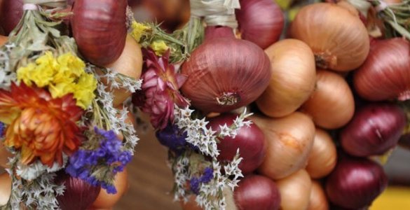 Bern Onion Market