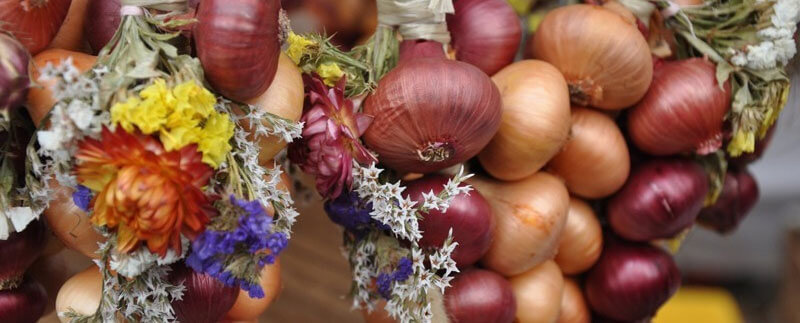 Bern Onion Market