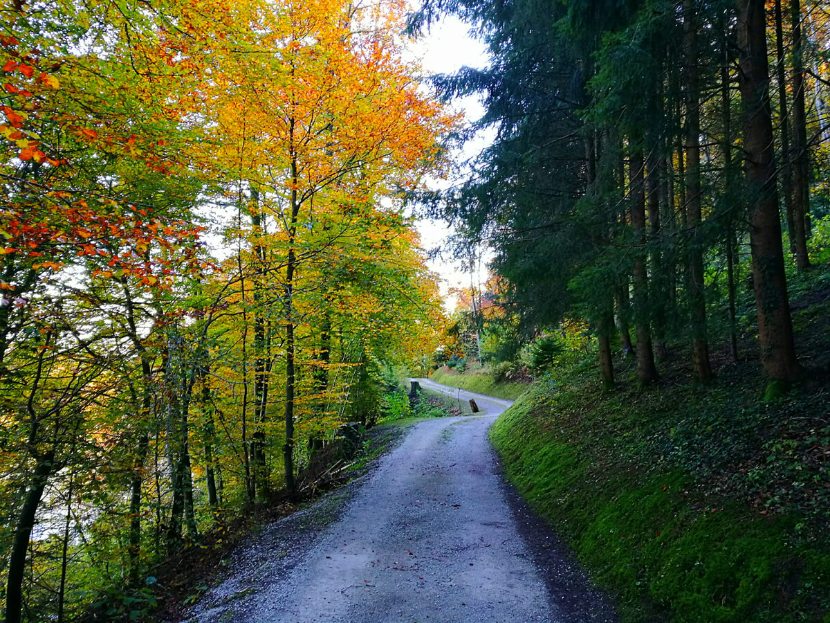 Switzerland Fall Colors