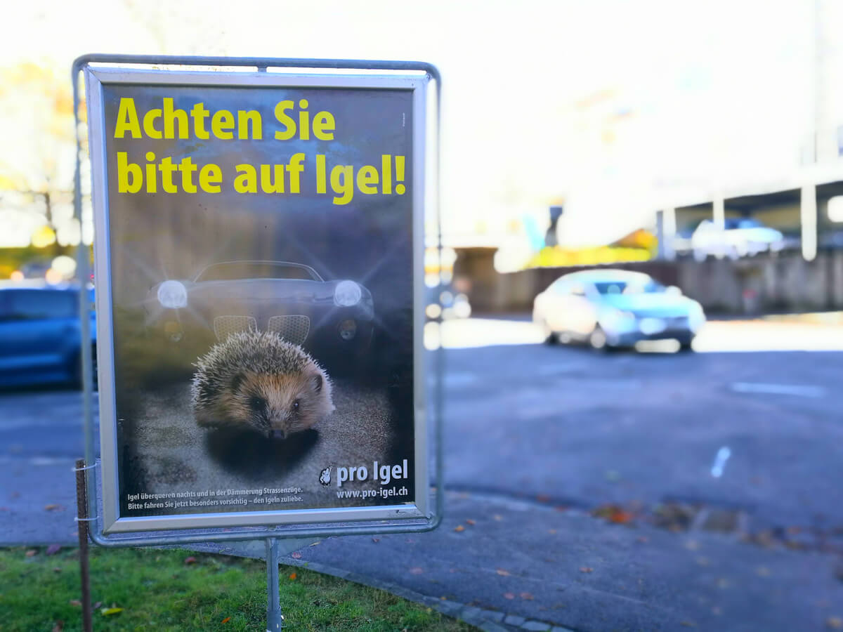 Switzerland Sign Hedgehogs