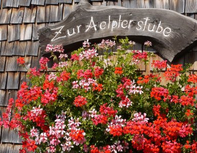 Typical Swiss Geranium Flowers