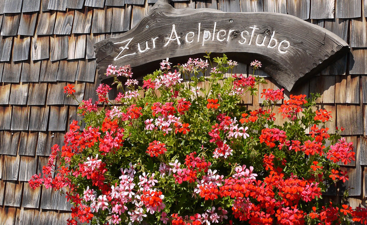 Typical Swiss Geranium Flowers