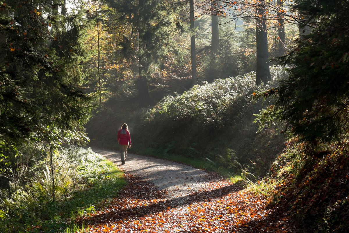 ViaGottardo Hiking Trail