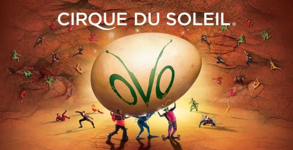 Cirque du Soleil OVO in Switzerland