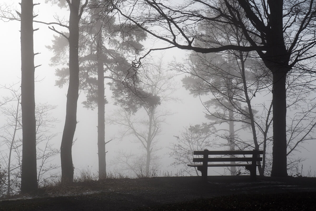 Fog on Pfannenstil