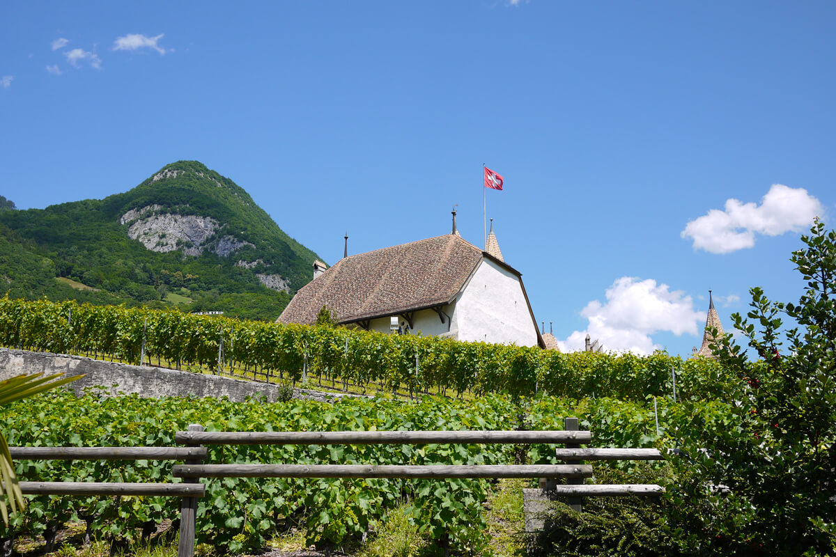 Lavaux Vineyards UNESCO World Heritage